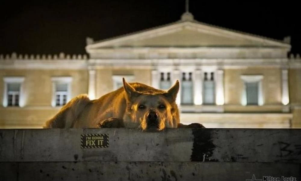 7 χρόνια χωρίς τον “Λουκάνικο”...Σαν φόρο τιμής! “Λουκάνικε” μαζί τα φάγαμε... τα δακρυγόνα